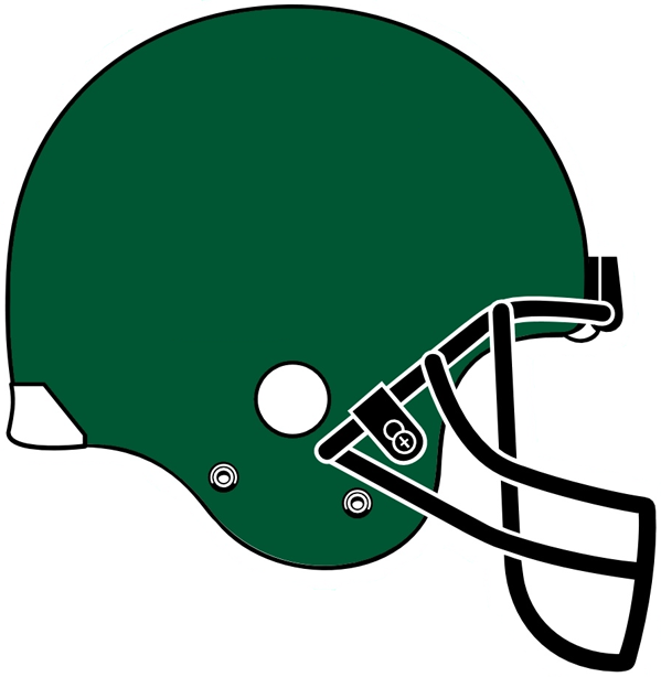 Tulane Green Wave 2005 Helmet Logo diy DTF decal sticker